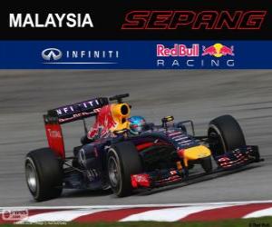 yapboz Sebastian Vettel - Red Bull - Grand Prix Malezya 2014, gizli bir 3.